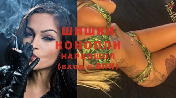 apvp Дегтярск